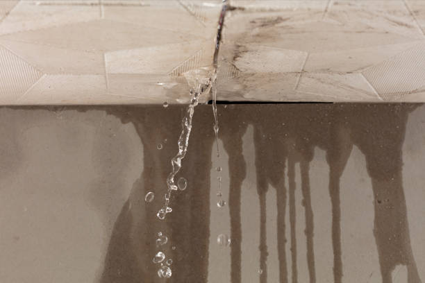 Professional Burst Pipe Cleanup technician working in Newburyport, MA